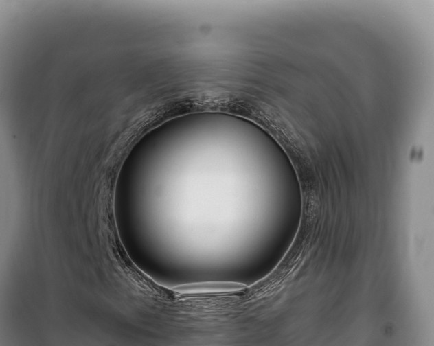 X0000100211153200806061339