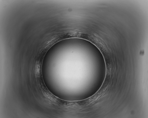 X0000100211154200806061339