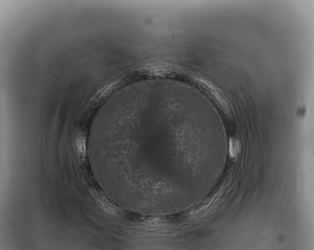 X0000100211155200806061339