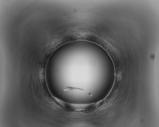 X0000100211156200806061339