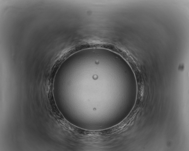 X0000100211157200806061339