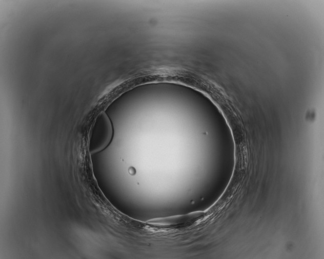 X0000100211158200806061339