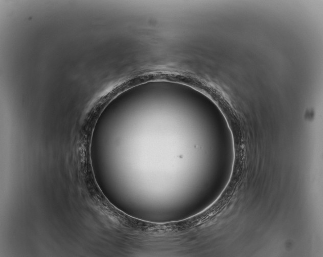 X0000100211159200806061339