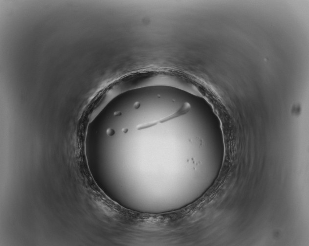 X0000100211160200806061339