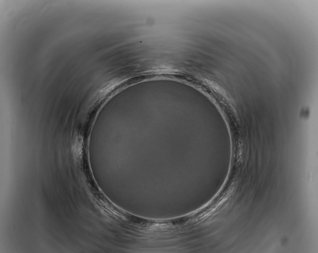 X0000100211161200806061339