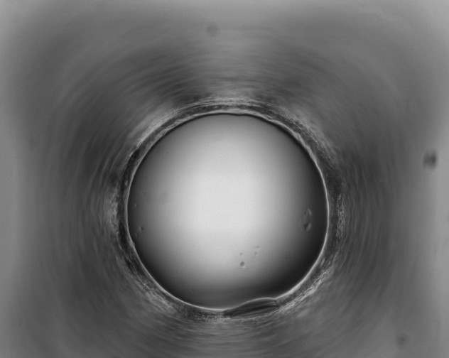 X0000100211162200806061339