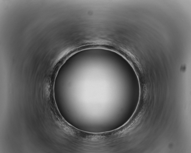 X0000100211163200806061339