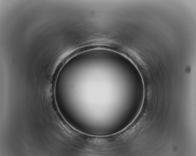 X0000100211164200806061339