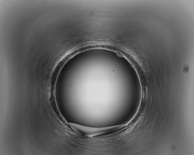 X0000100211165200806061339