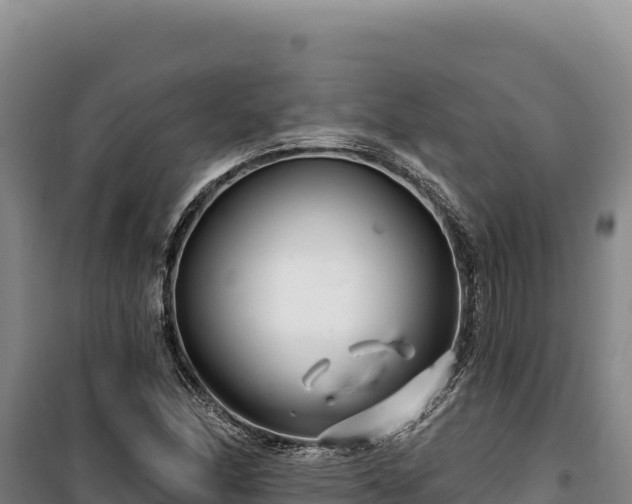 X0000100211166200806061339