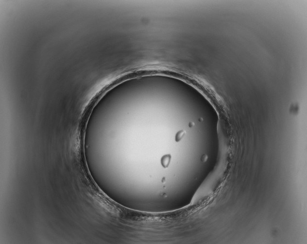 X0000100211167200806061339