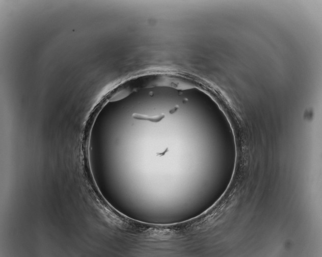 X0000100211168200806061339