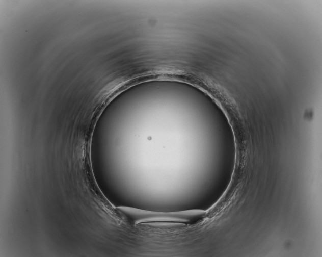 X0000100211169200806061339