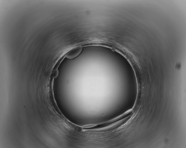 X0000100211170200806061339