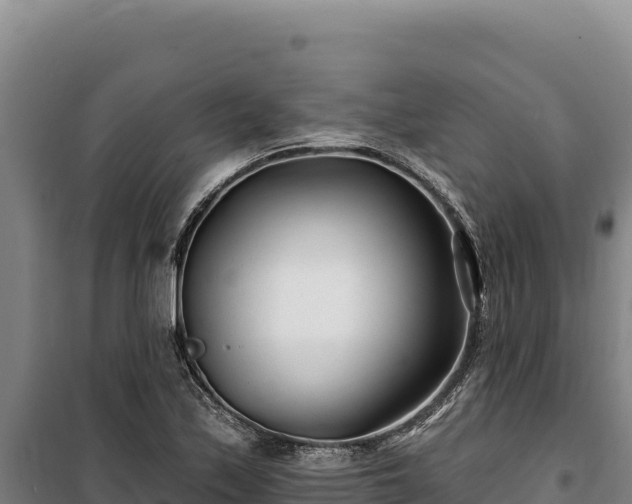 X0000100211171200806061339