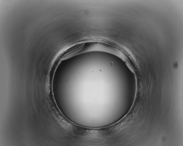 X0000100211172200806061339