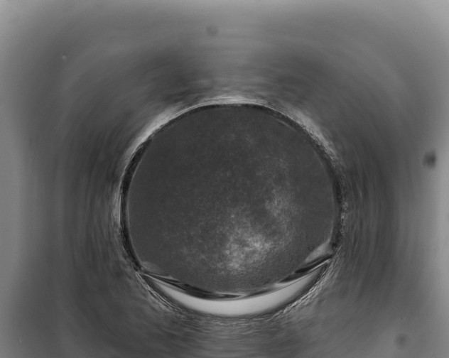 X0000100211173200806061339