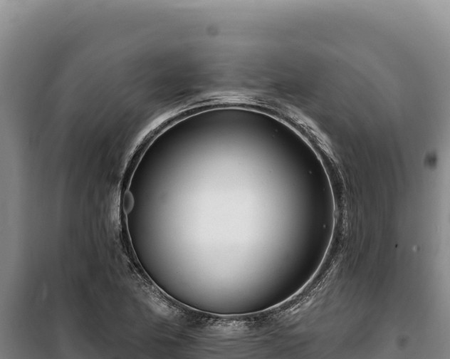 X0000100211174200806061339