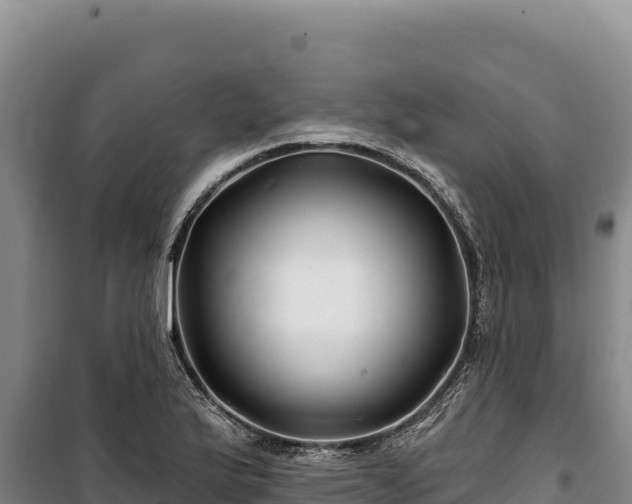 X0000100211175200806061339