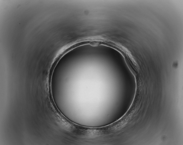 X0000100211176200806061339