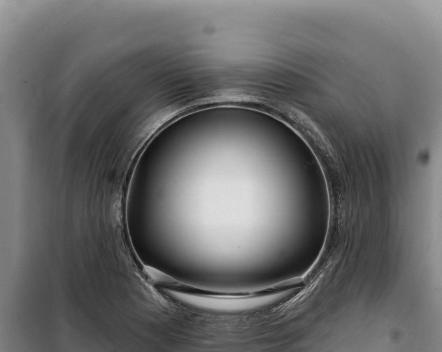 X0000100211177200806061339