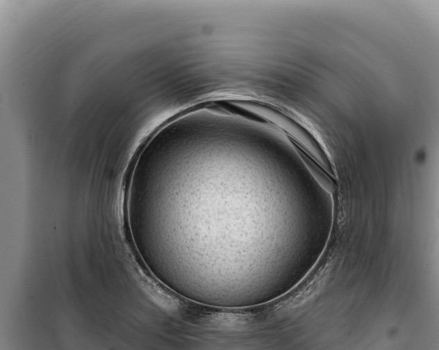 X0000100211179200806061339