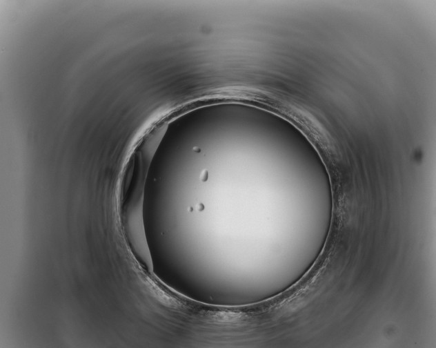 X0000100211180200806061339