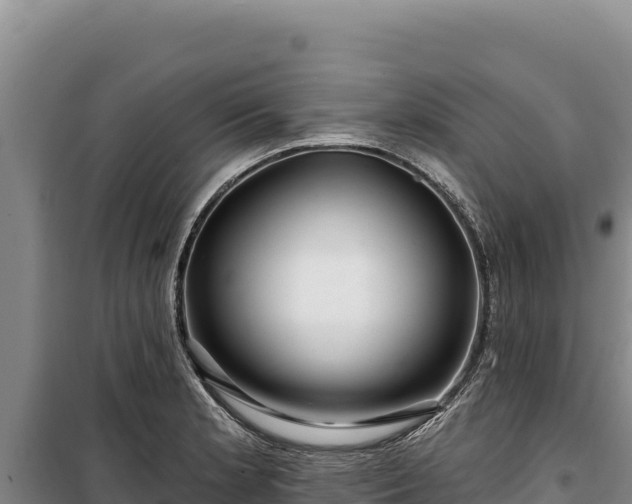 X0000100211181200806061339