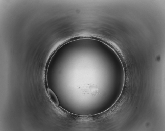 X0000100211183200806061339