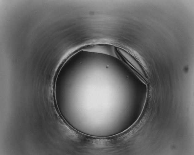 X0000100211184200806061339