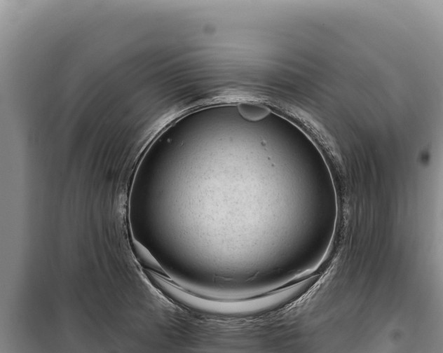 X0000100211185200806061339