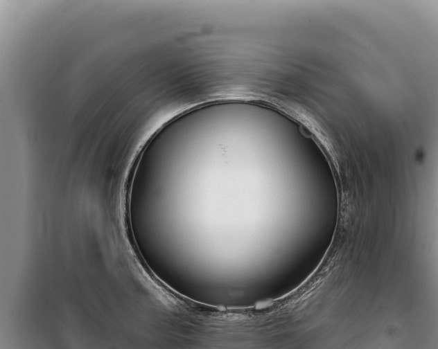 X0000100211187200806061339