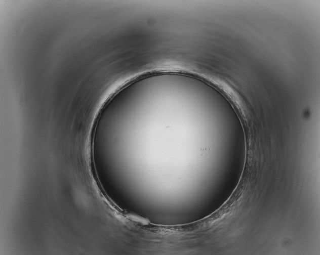 X0000100211191200806061339