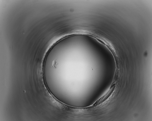 X0000100211192200806061339