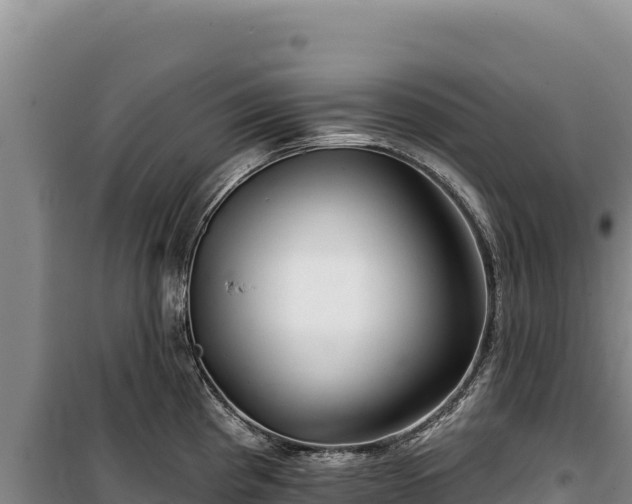 X0000100211193200806061339