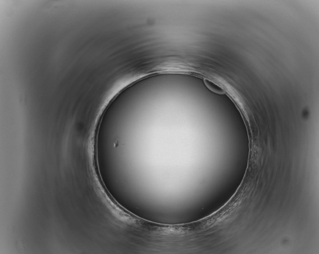 X0000100211195200806061339