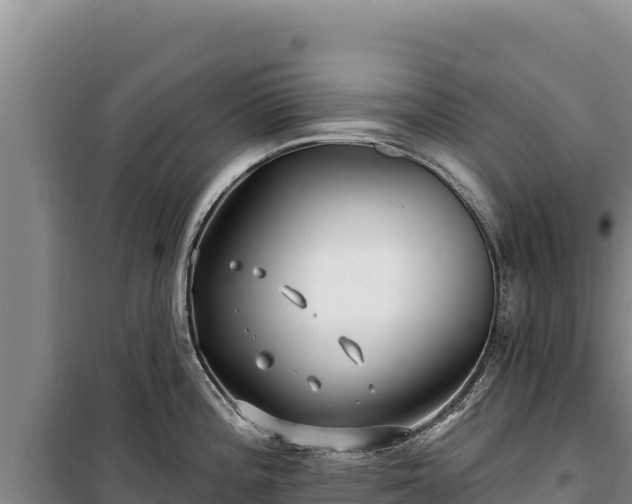 X0000100211196200806061339