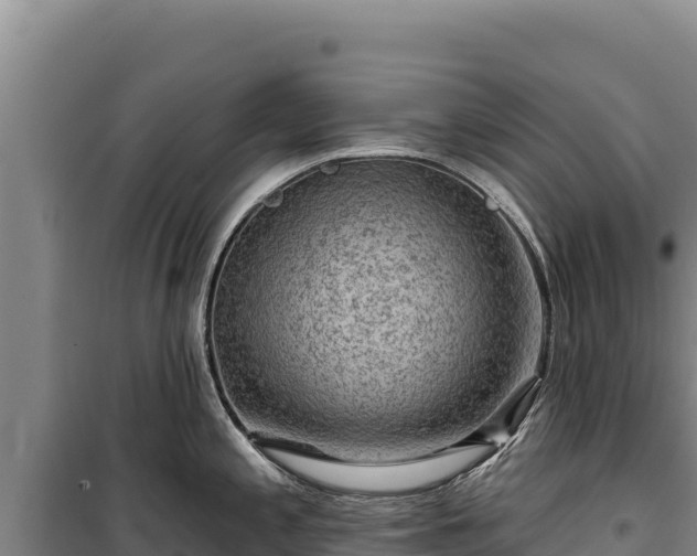 X0000100211197200806061339