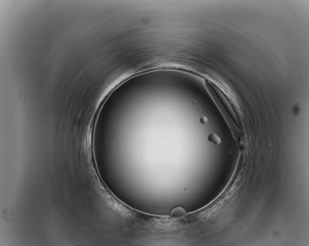 X0000100211198200806061338