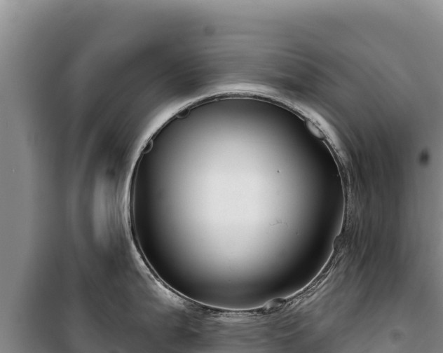 X0000100211199200806061338