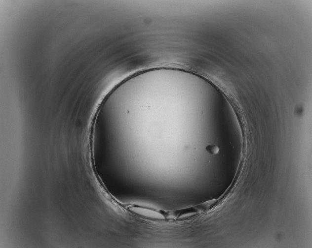 X0000100211200200806061338