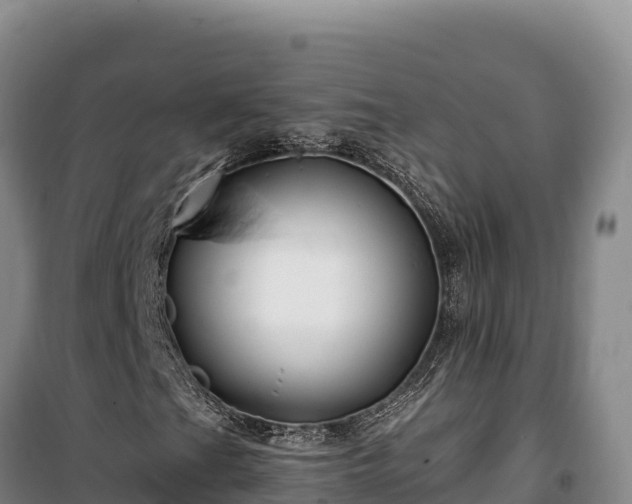 X0000100211201200806061338