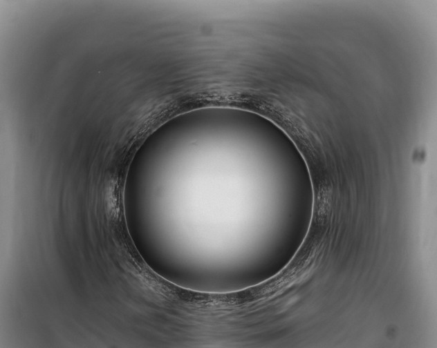 X0000100211202200806061338