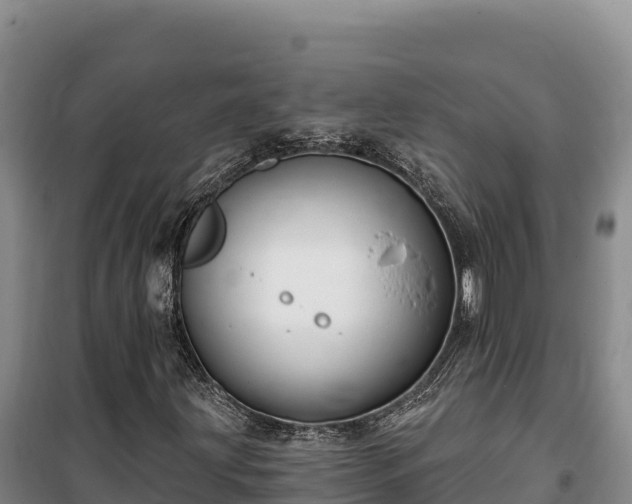 X0000100211203200806061338