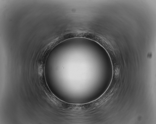 X0000100211204200806061338