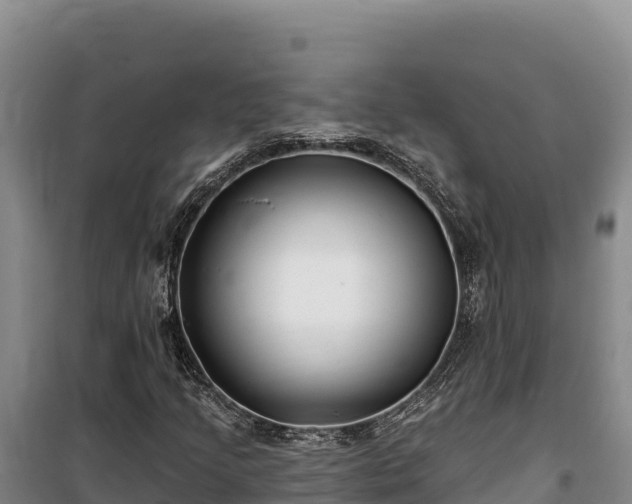 X0000100211205200806061338