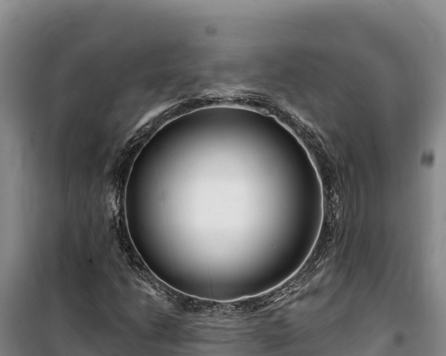 X0000100211206200806061338