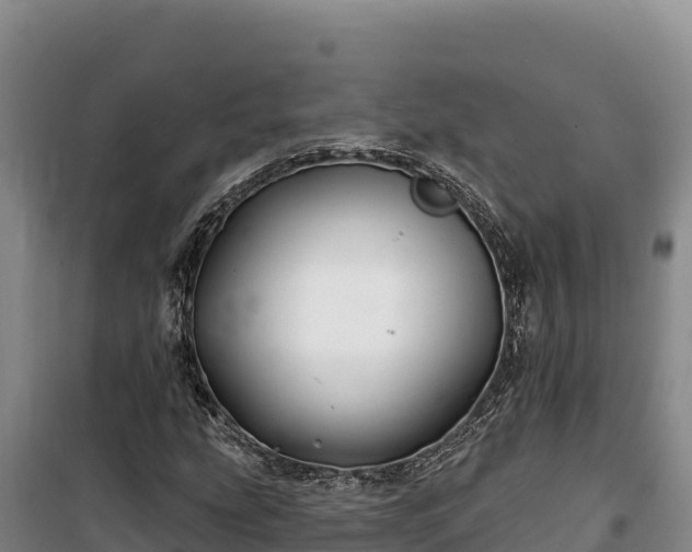 X0000100211207200806061338