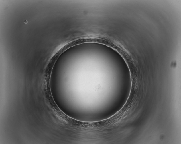 X0000100211208200806061338