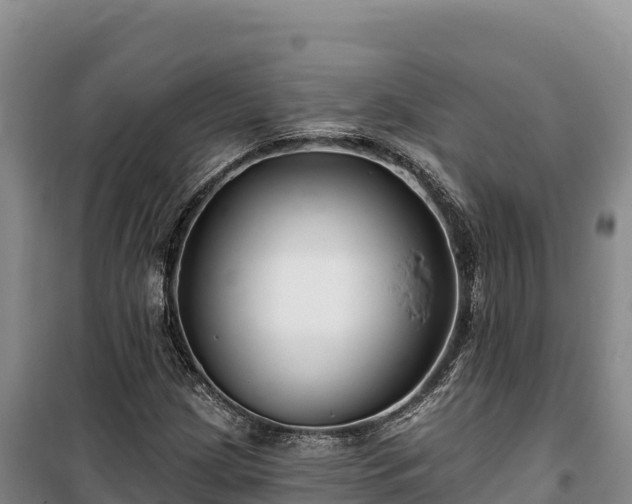 X0000100211209200806061338